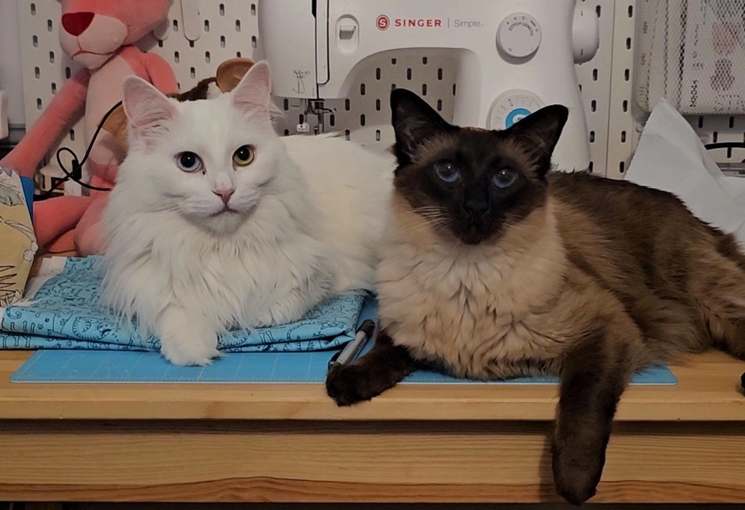 Sewing studio and Thread Lab
