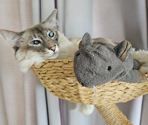 Maupet cat tree