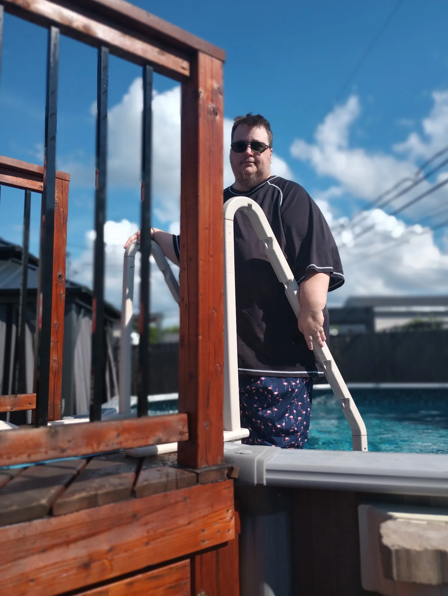 Pool steps