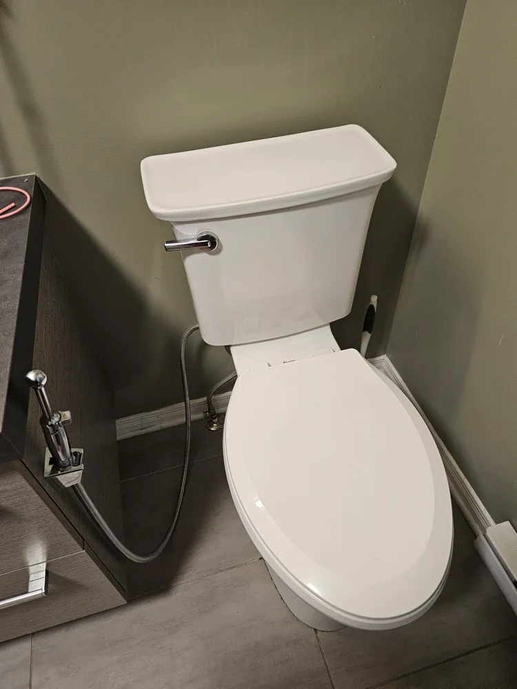 Elevated toilet
